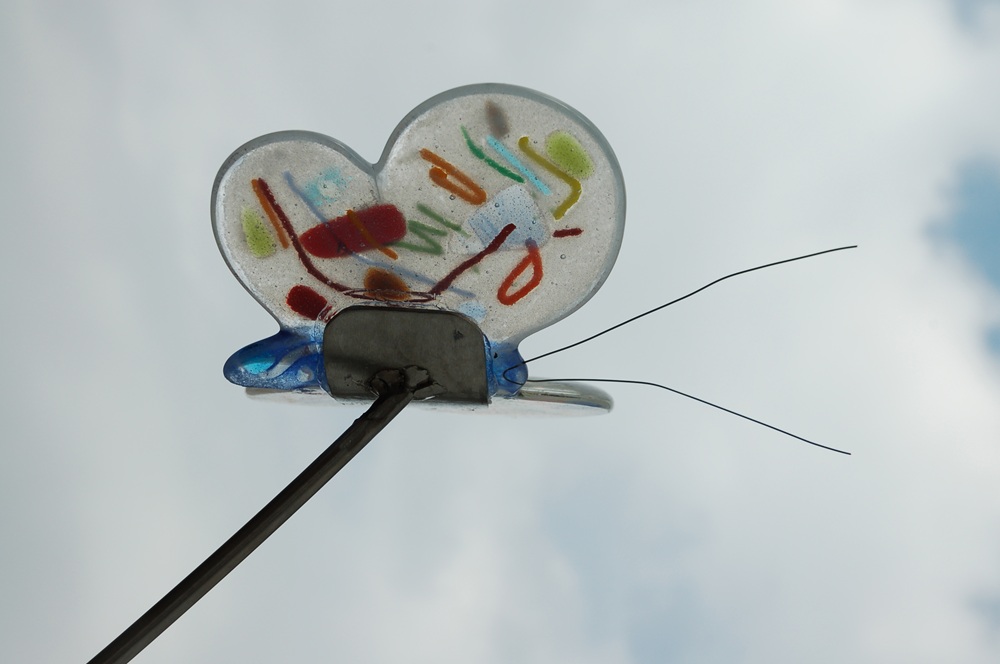 glazen-vlinder-herinering